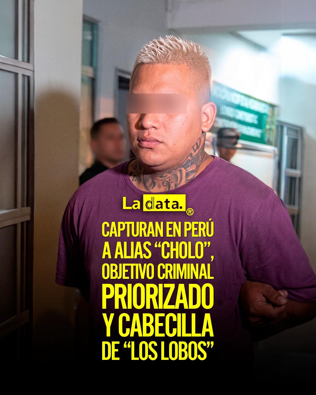 @ladataec👈 #ladata #TendenciaPolítica #LosLobos #AliasCholo