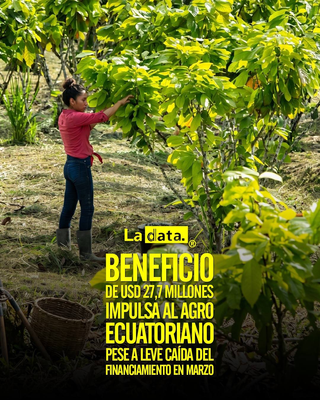 @ladataec👈   #ladata #TendenciaPolítica #Ecuador  #Beneficios