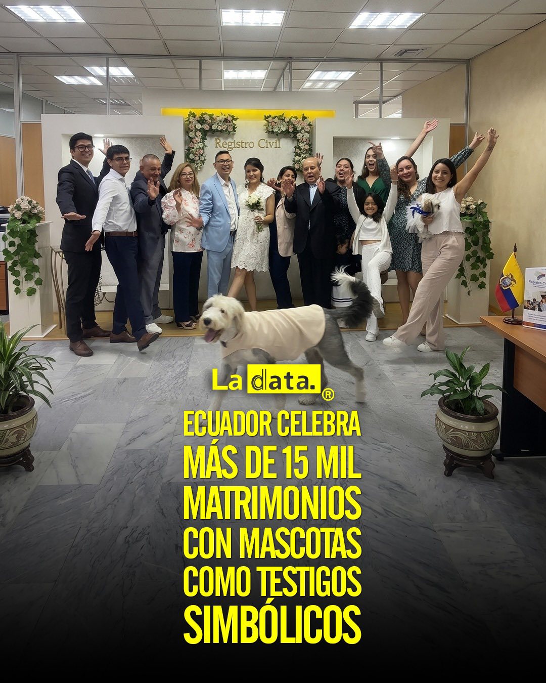 @ladataec 👈 #ladata #TendenciaPolítica #RegistroCivil #Matrimonios