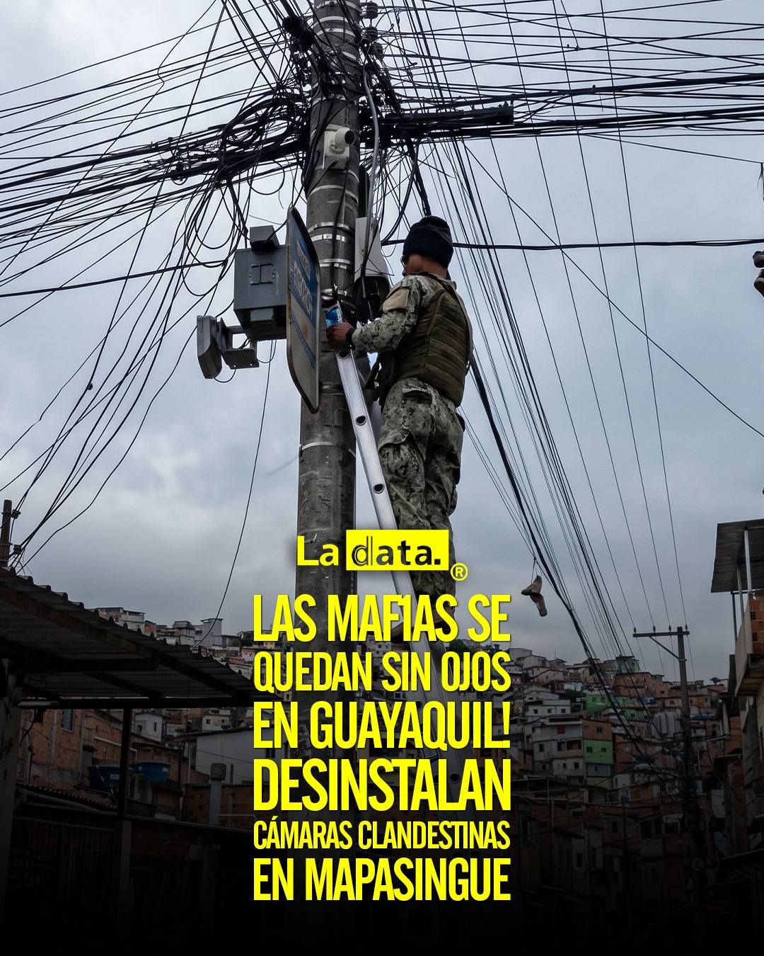 @ladataec 👈 #ladata #TendenciaPolítica #Guayaquil #FuerzasArmadas