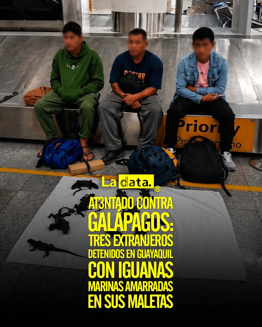 @ladataec  #ladata #TendenciaPolítica #Galápagos #TráficoDeEspecies
