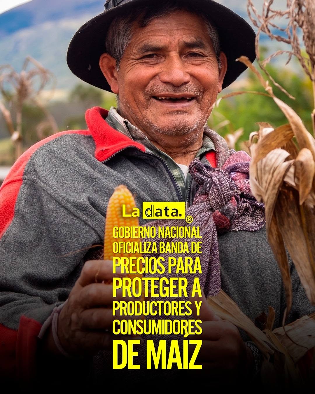 Gobierno Nacional oficializa banda de precios para proteger a productores y consumidores de maíz.