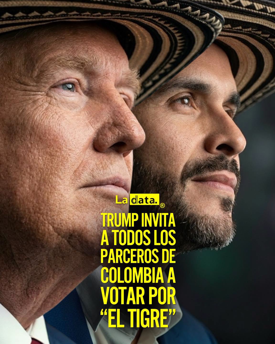La Data 👈