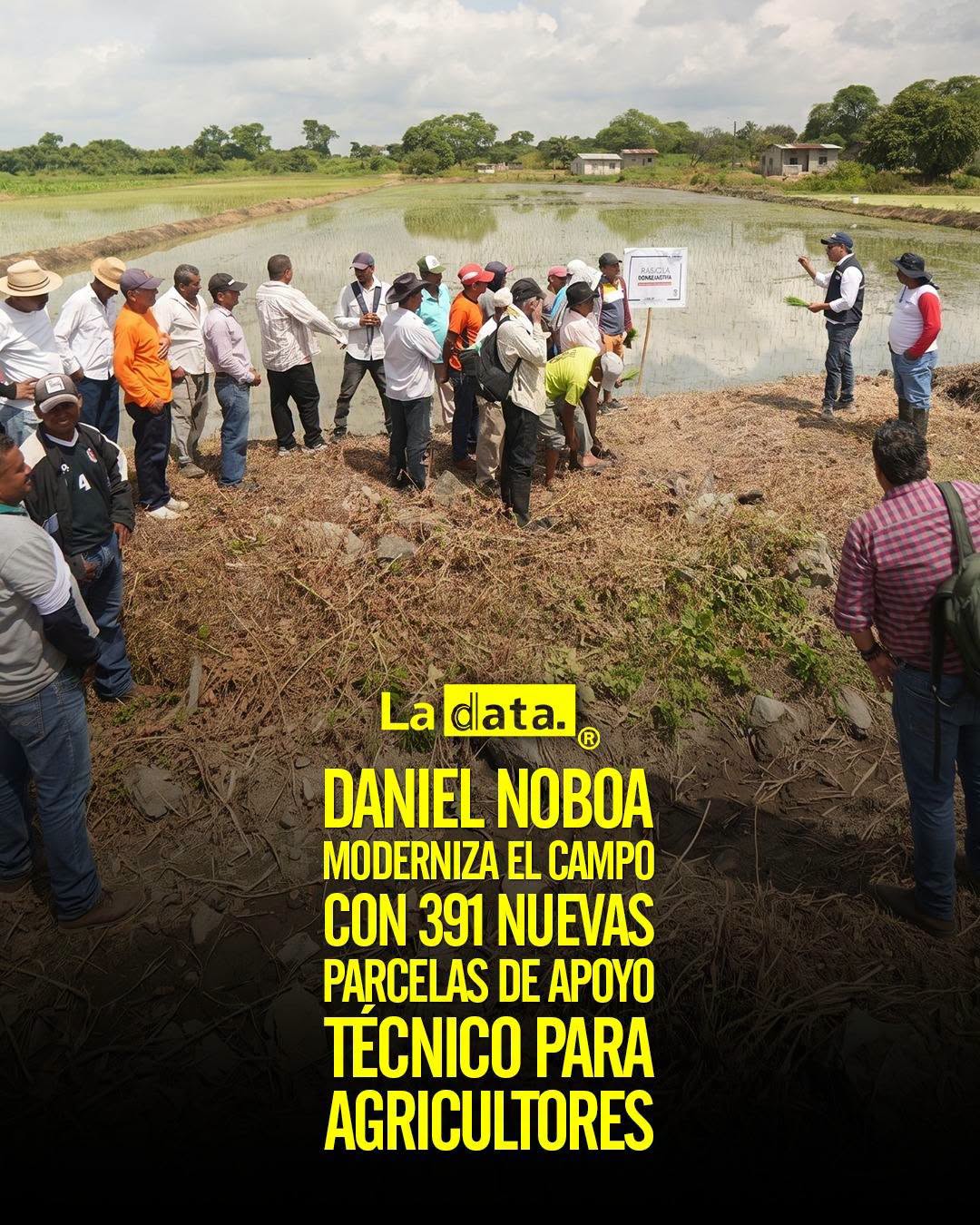 @ladataec 👈 #ladata #TendenciaPolítica #DanielNoboa #Agricultura