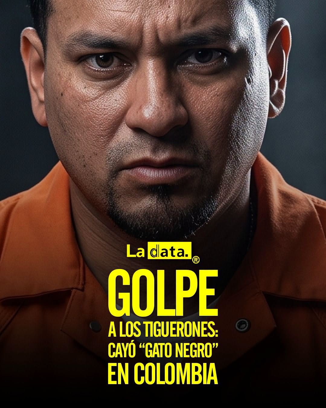 @ladataec 👈 #ladata #TendenciaPolítica #LosTiguerones #GatoNegro