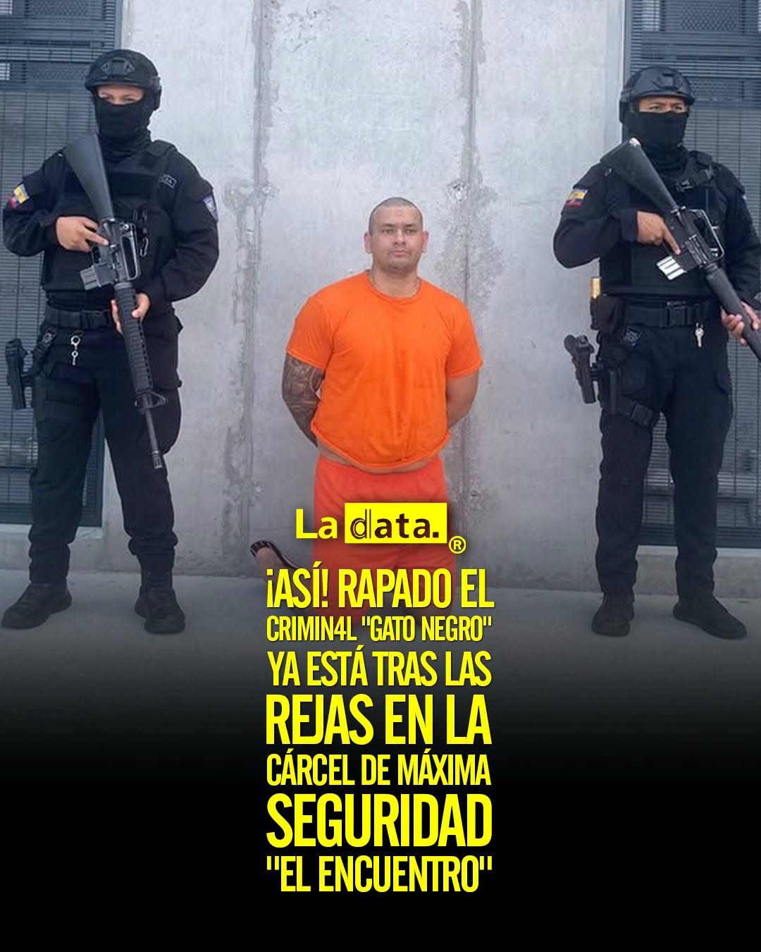 @ladataec 👈 #ladata #TendenciaPolítica #GatoNegro #ElEncuentro