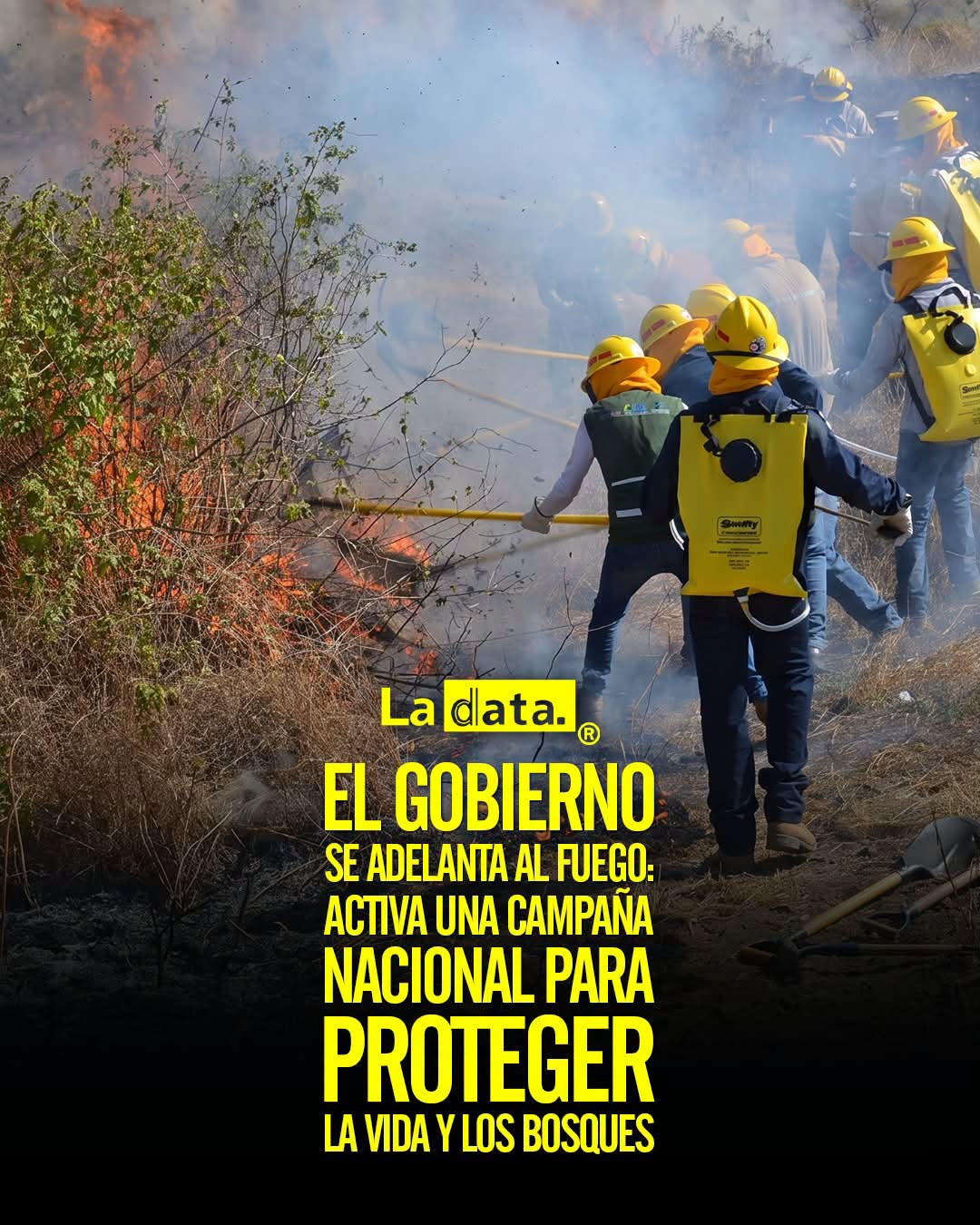 @ladataec 👈 #ladata #TendenciaPolítica  #IncendiosForestales  #ECU911