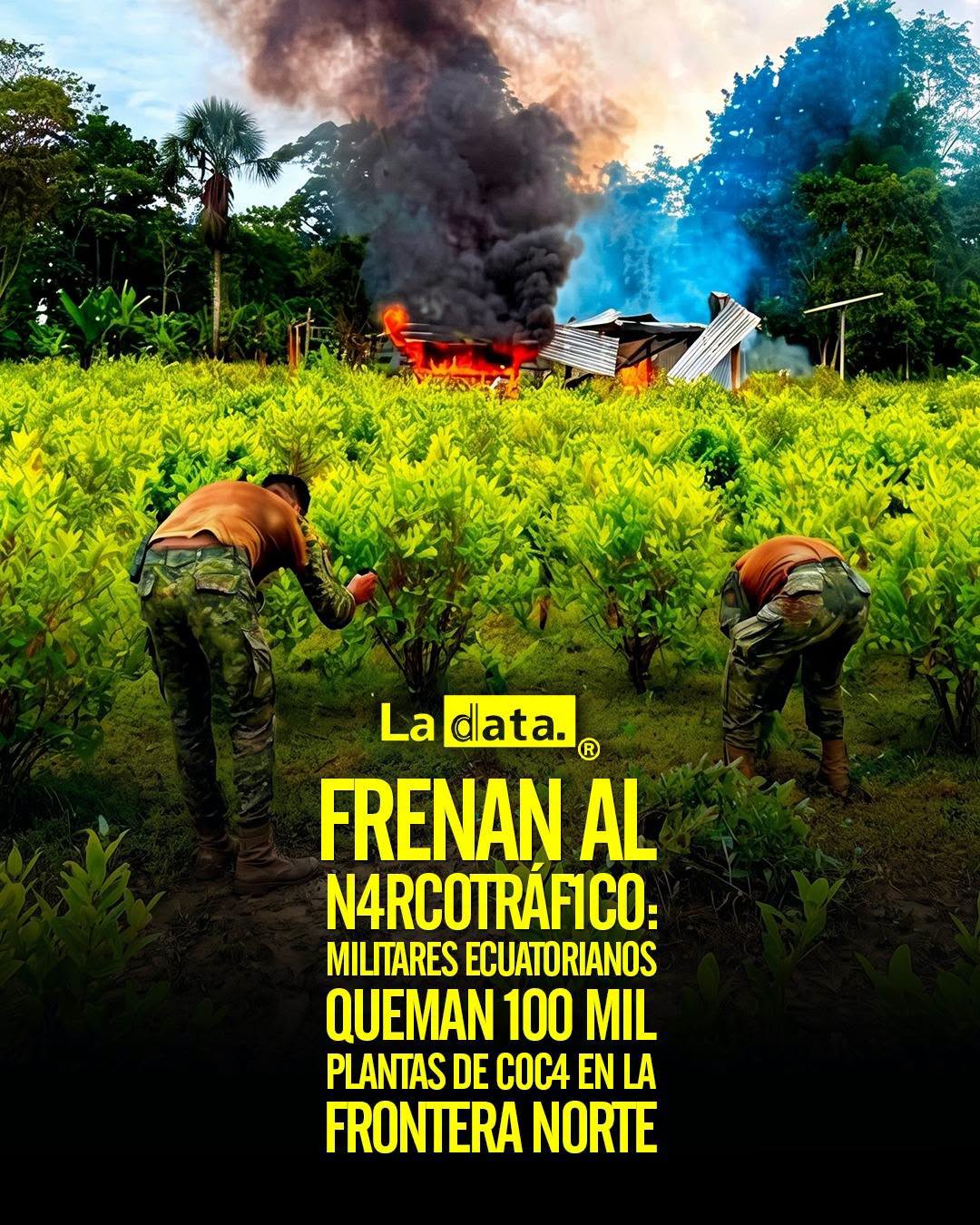 @ladataec 👈 ‎ ‎#ladata #TendenciaPolítica #FuerzasArmadas #Frontera