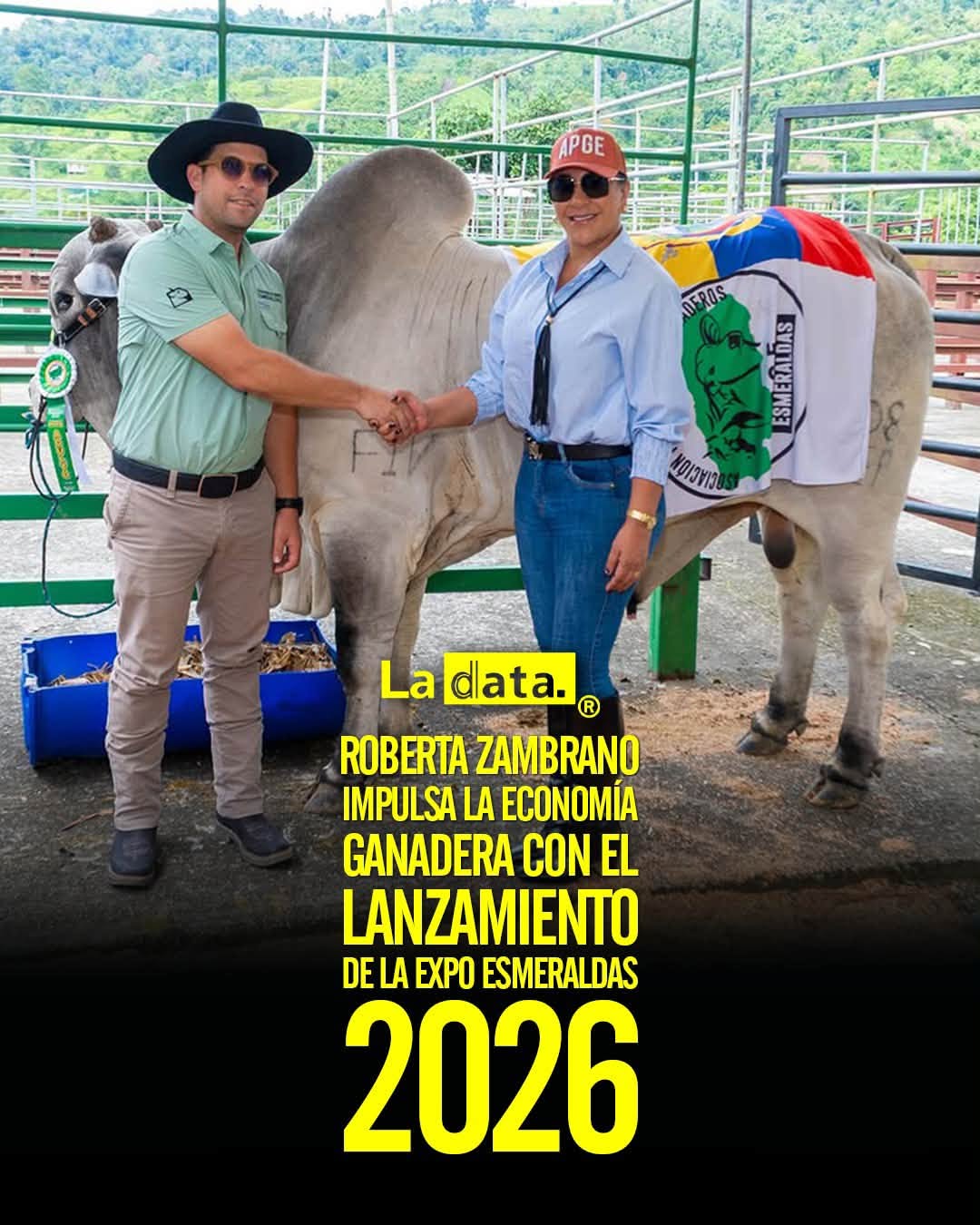 @ladataec 👈 ‎ ‎#ladata #TendenciaPolítica #Esmeraldas #RobertaZambrano