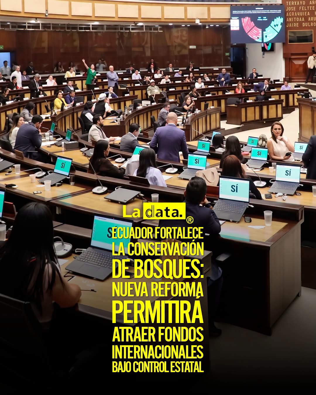 @ladataec👈 #ladata #TendenciaPolítica #Ecuador #Ambiente