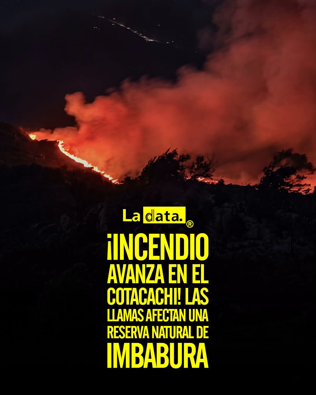 @ladataec👈 #ladata #TendenciaPolítica #Imbabura #IncendioForestal