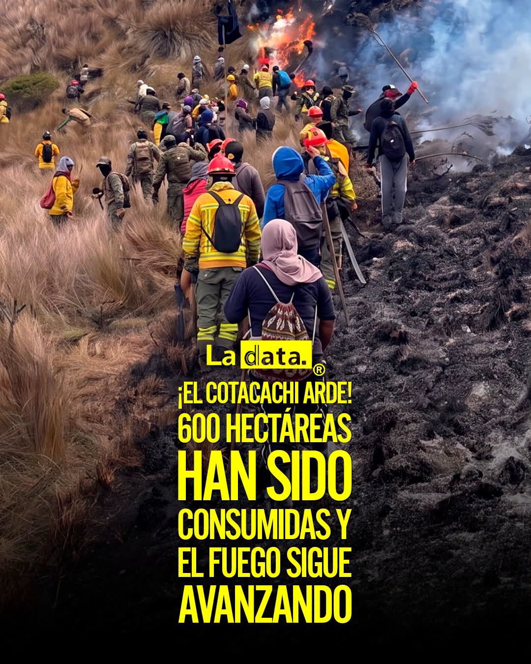 @ladataec👈 #ladata #TendenciaPolítica #Cotacachi #Imbabura