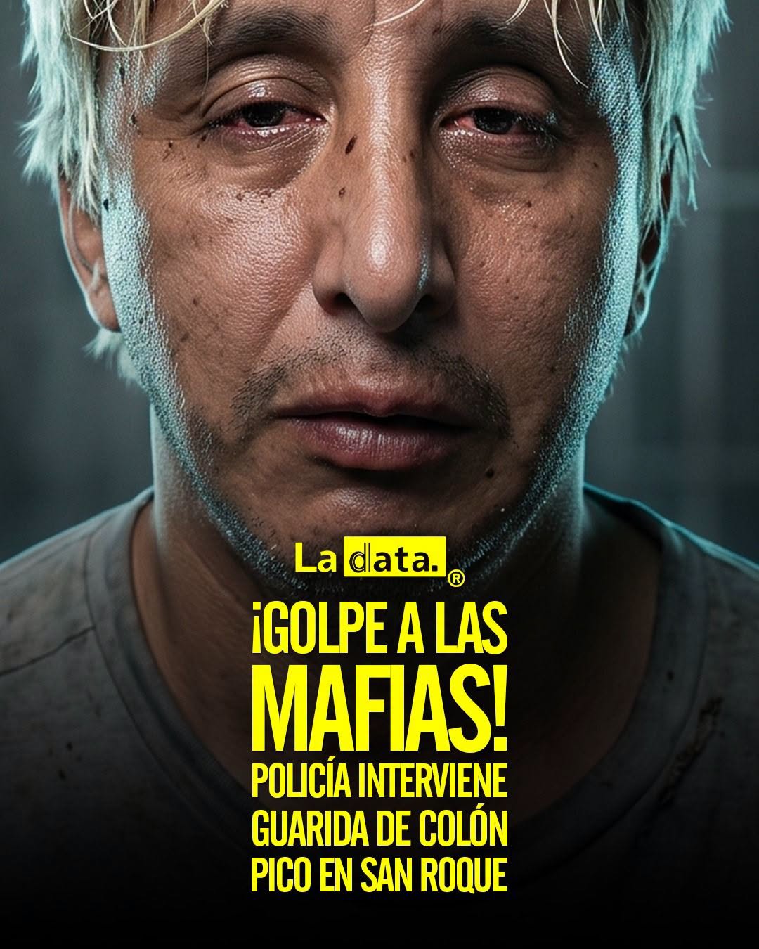 @ladataec👈  #ladata #TendenciaPolítica #Quito #Seguridad