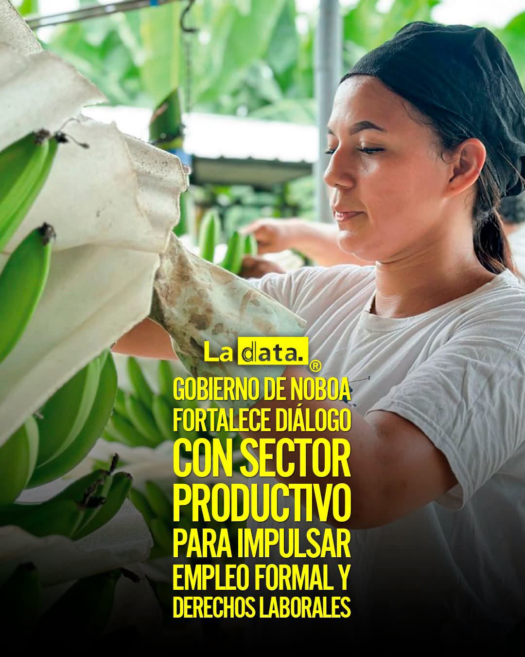 @ladataec👈 #LaData #TendenciaPolitica #Trabajo #DanielNoboa