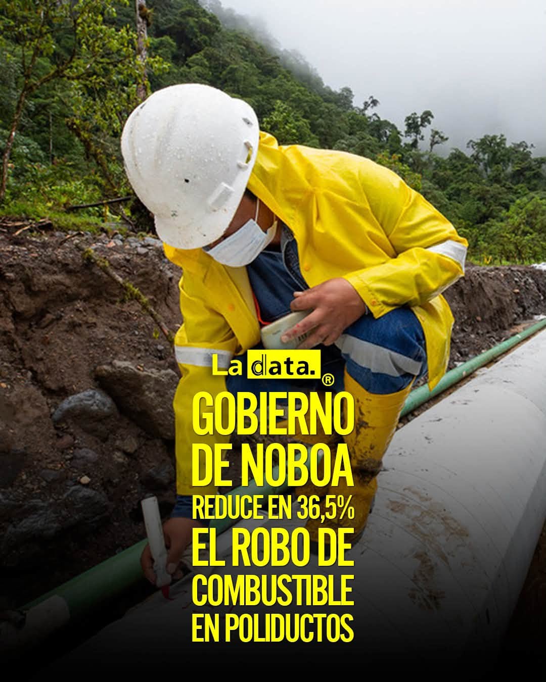 @ladataec👈 #LaData #TendenciaPolitica #Seguridad #Combustible