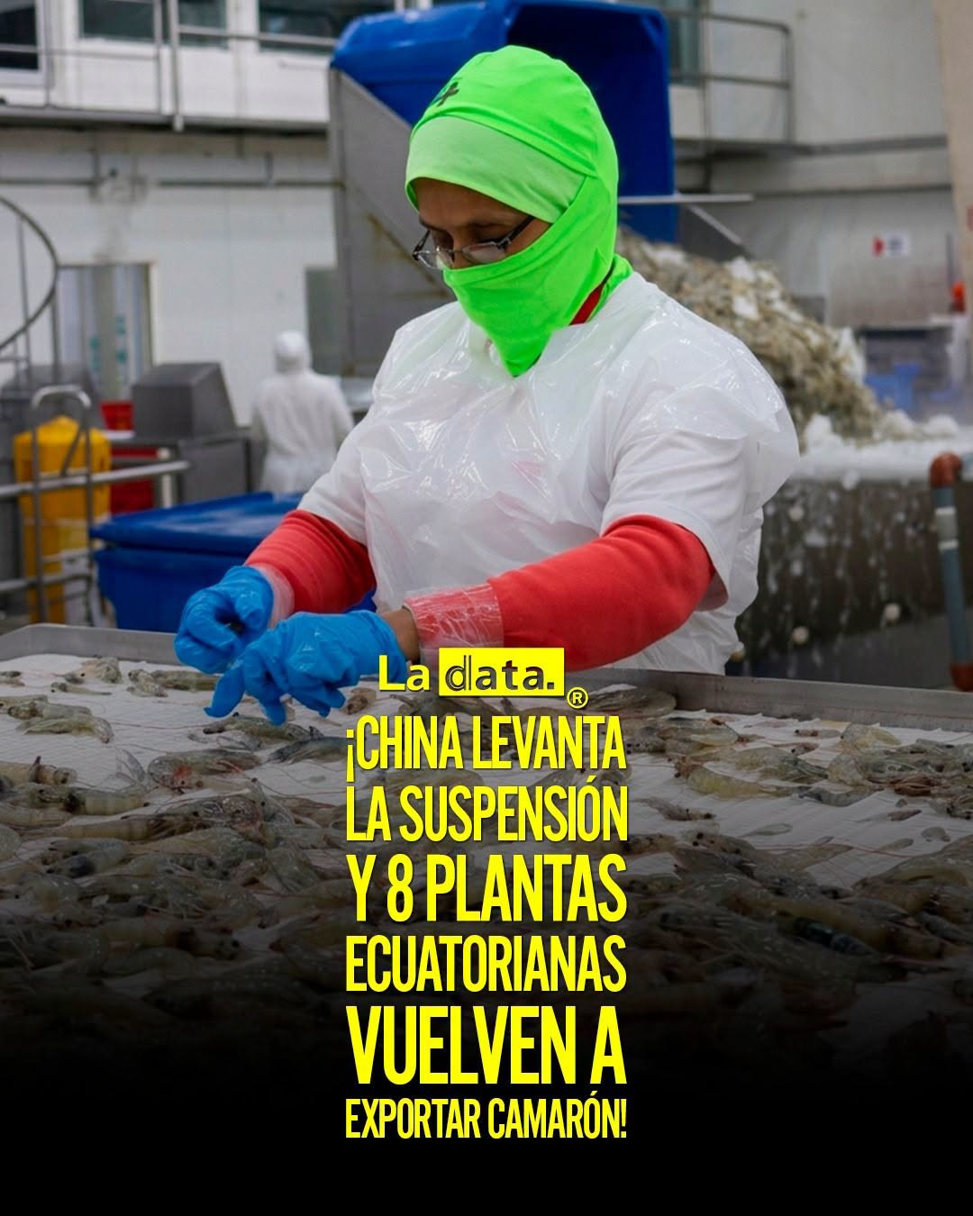 @ladataec👈 #ladata #TendenciaPolítica #DanielNoboa #Camarón