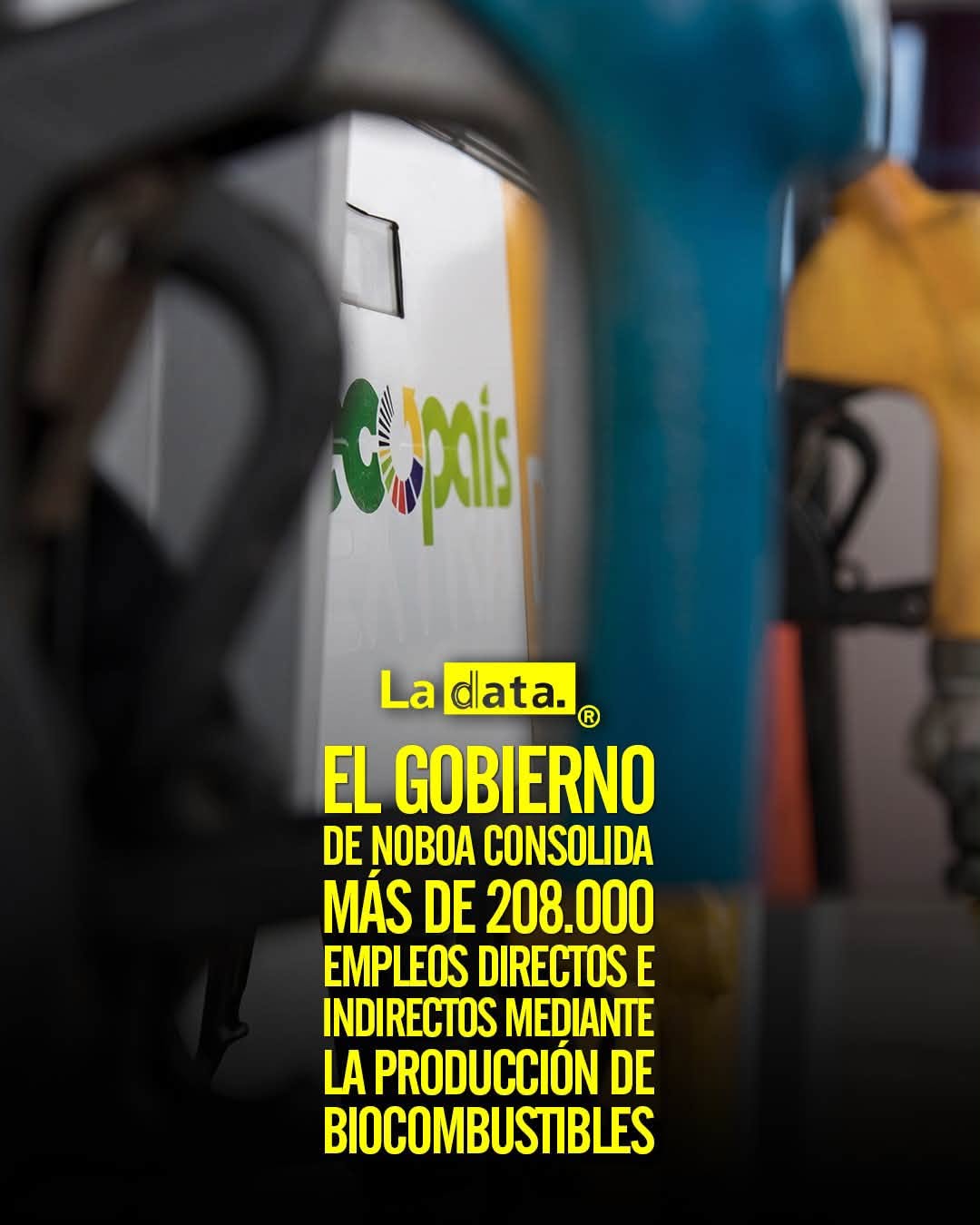 @ladataec 👈 ‎ ‎#ladata #TendenciaPolítica #PetroEcuador #Producción