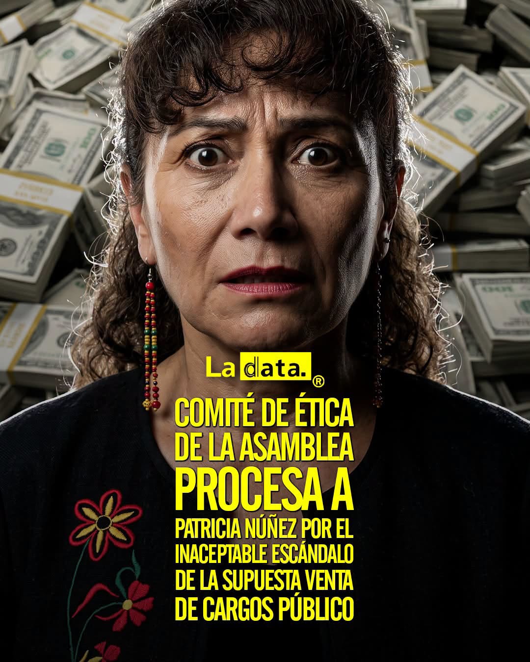 @ladataec 👈 ‎ ‎#ladata #TendenciaPolítica #PatriciaNúñez #AsambleaNacional