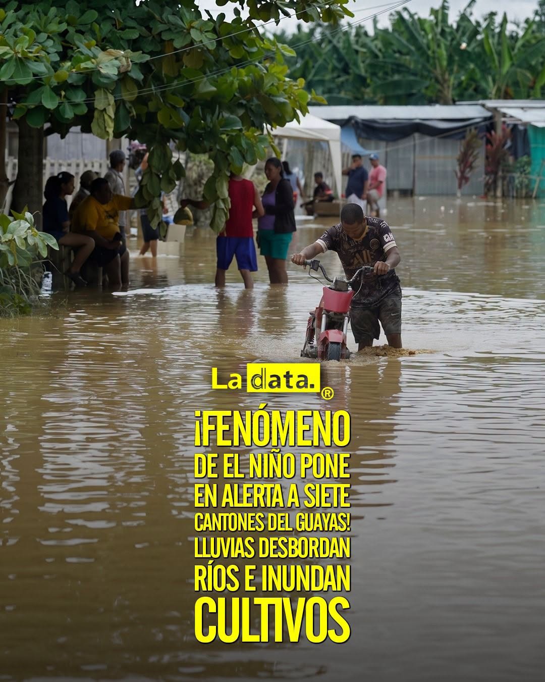 @ladataec👈 #LaData #TendenciaPolítica #Guayas #FenomenoDelNiño #Lluvias