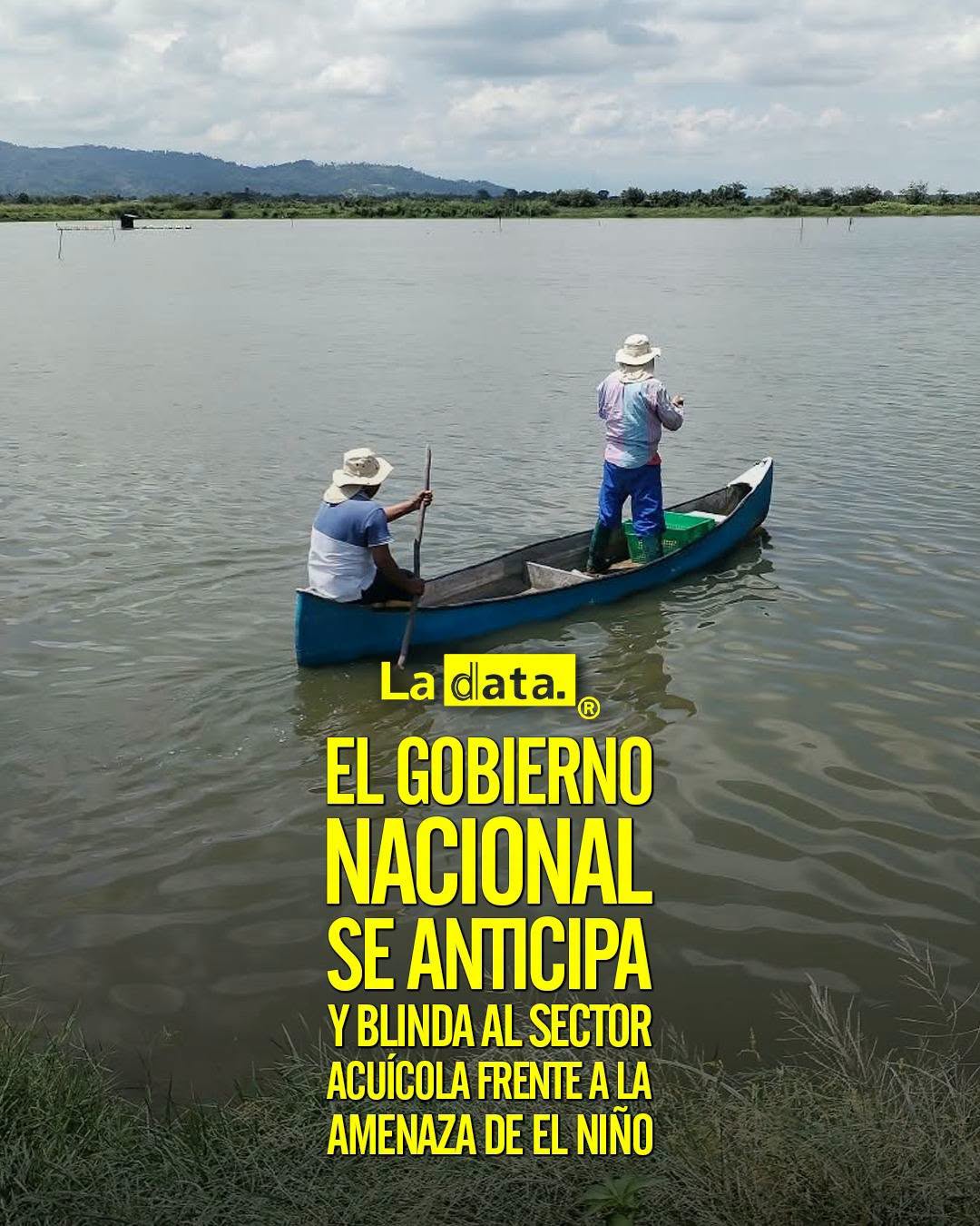 @ladataec👈 #ladata #TendenciaPolítica #GobiernoNacional #FenómenoDelNiño